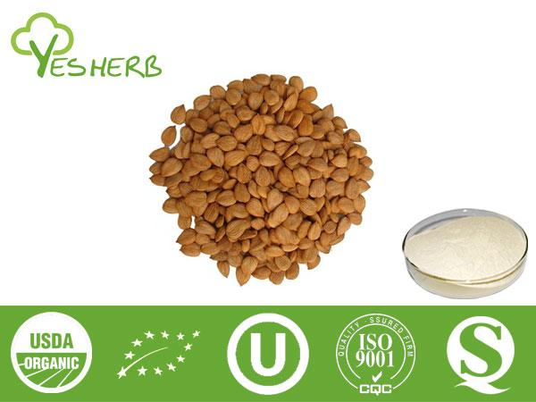 Almond leite em pó - Super Foods