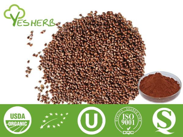 Экстракт виноградных косточек - OPC 95%, 98%, Polyphenol 20%-80%