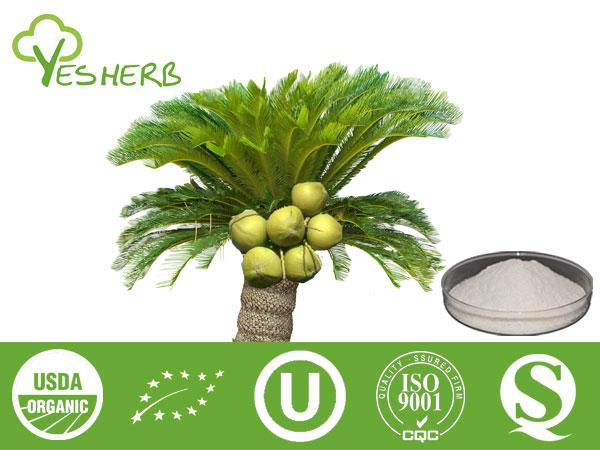 Saw Palmetto Extract - Fatty Acid 25%-45%